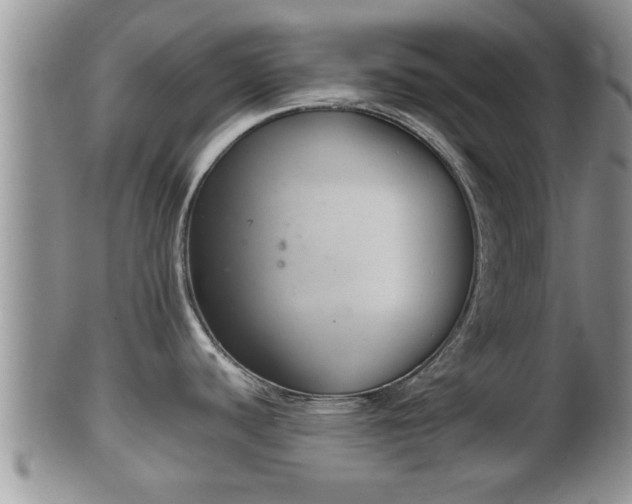 X0000102301440200808011529