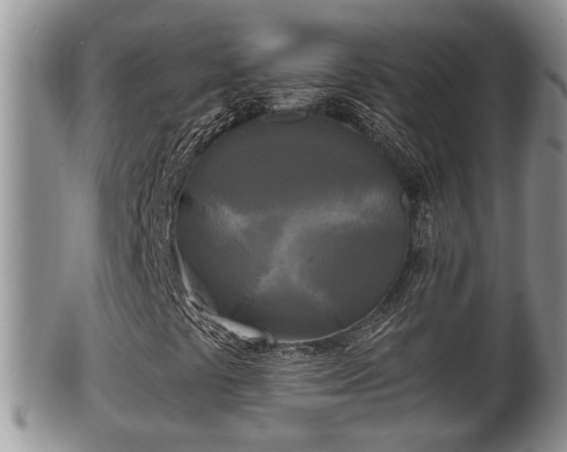 X0000102301441200808011528