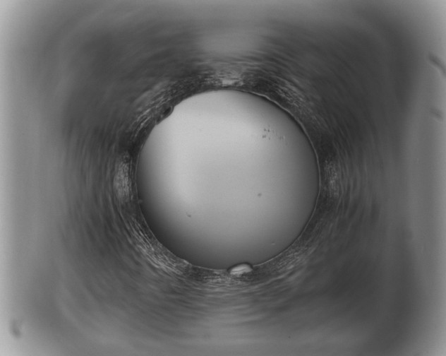 X0000102301442200808011528