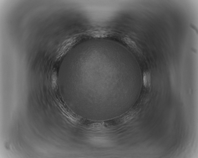 X0000102301444200808011528