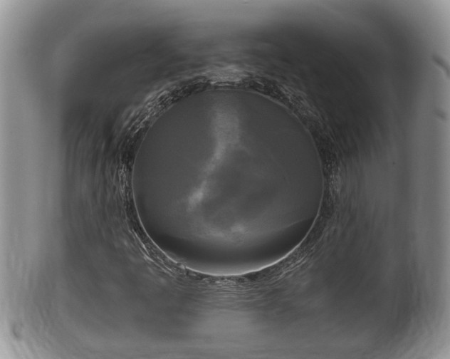 X0000102301445200808011528