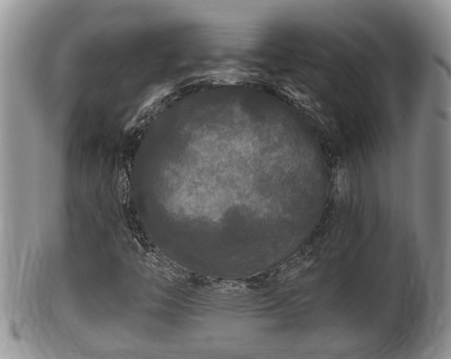 X0000102301446200808011528