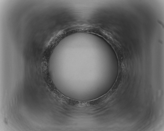 X0000102301447200808011528