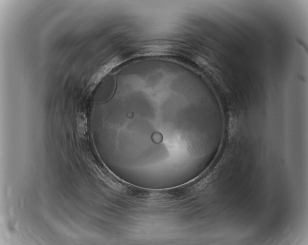 X0000102301449200808011528