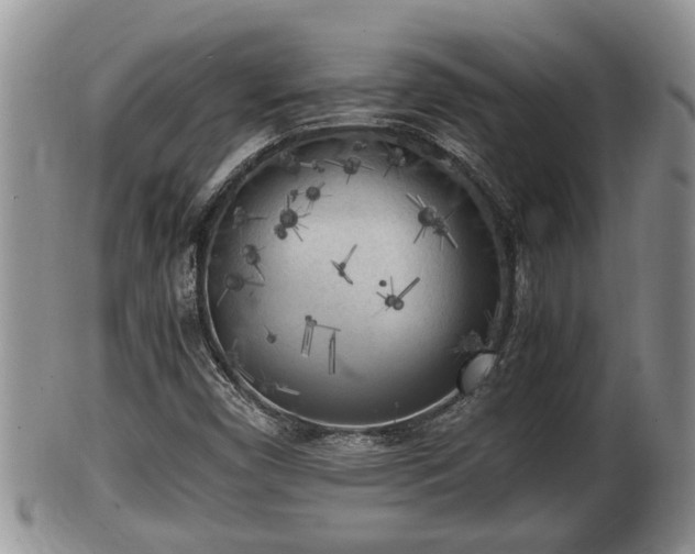 X0000102301450200808011528