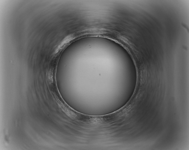 X0000102301451200808011528