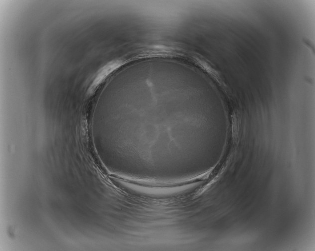 X0000102301453200808011528