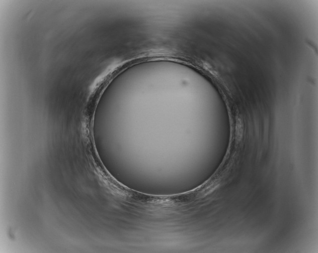 X0000102301454200808011528