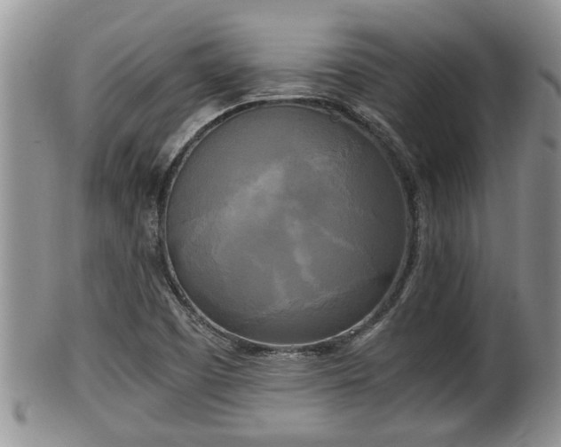 X0000102301457200808011528