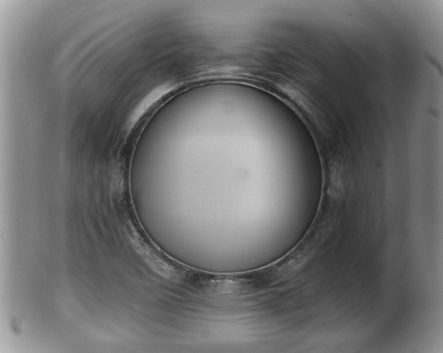 X0000102301458200808011528