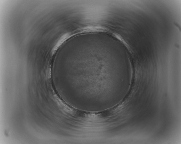 X0000102301459200808011528