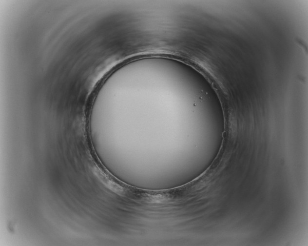 X0000102301460200808011528