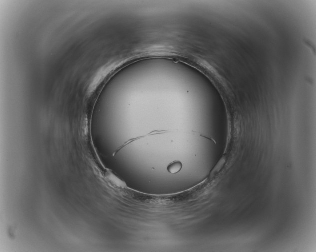 X0000102301461200808011528