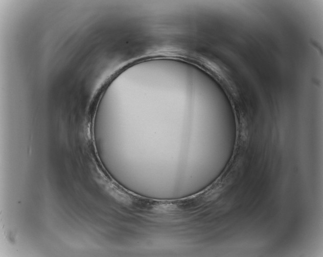 X0000102301462200808011528