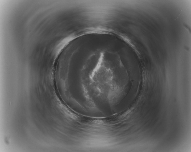 X0000102301463200808011528