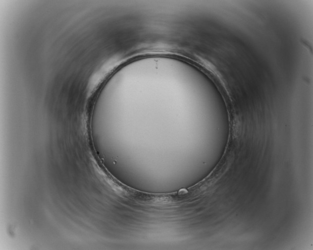 X0000102301464200808011528