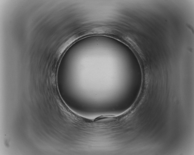 X0000102301465200808011528