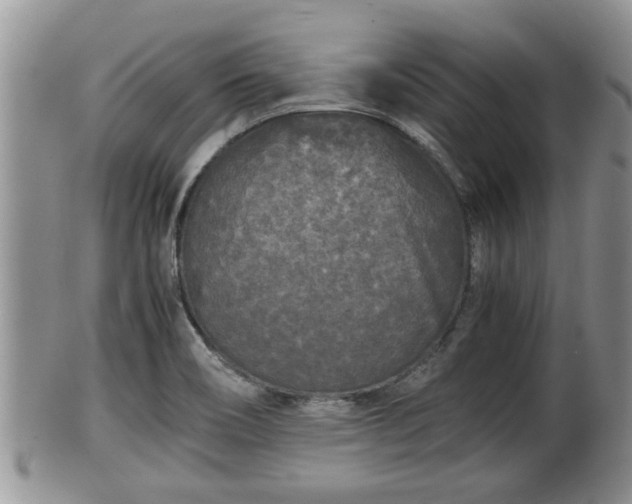 X0000102301466200808011528