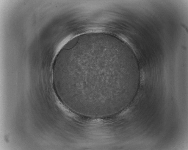 X0000102301467200808011528