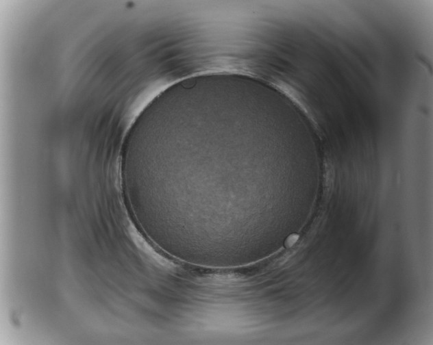 X0000102301468200808011528