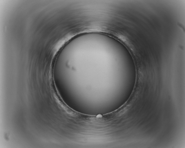 X0000102301469200808011528