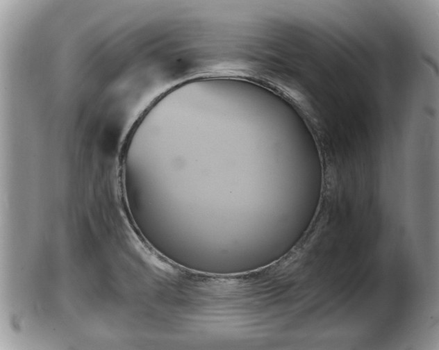 X0000102301470200808011528