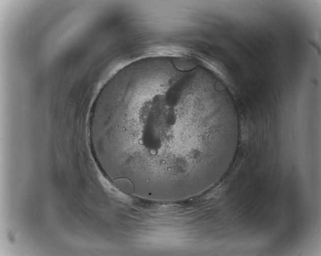 X0000102301471200808011528