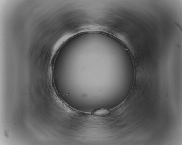 X0000102301472200808011528