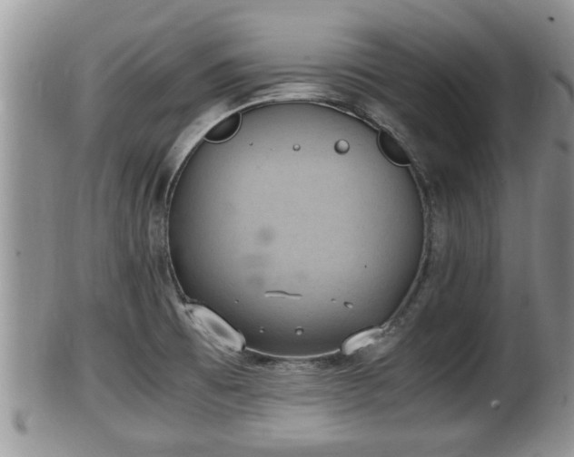 X0000102301473200808011528