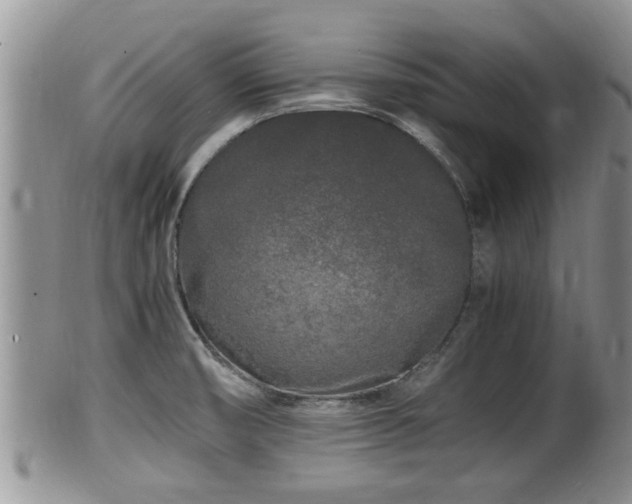 X0000102301474200808011528