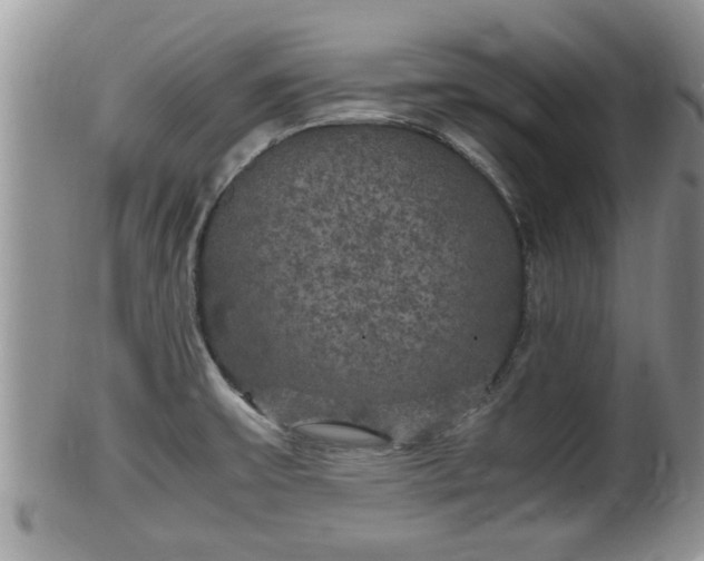 X0000102301475200808011528