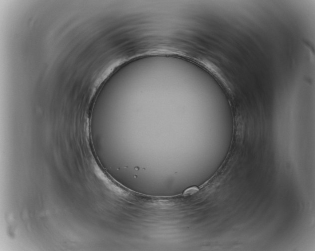 X0000102301476200808011528