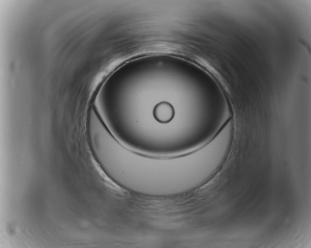 X0000102301477200808011528