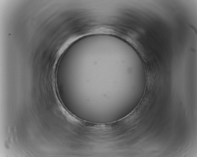 X0000102301478200808011528