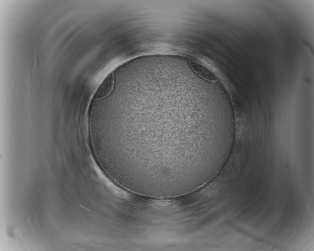 X0000102301479200808011528