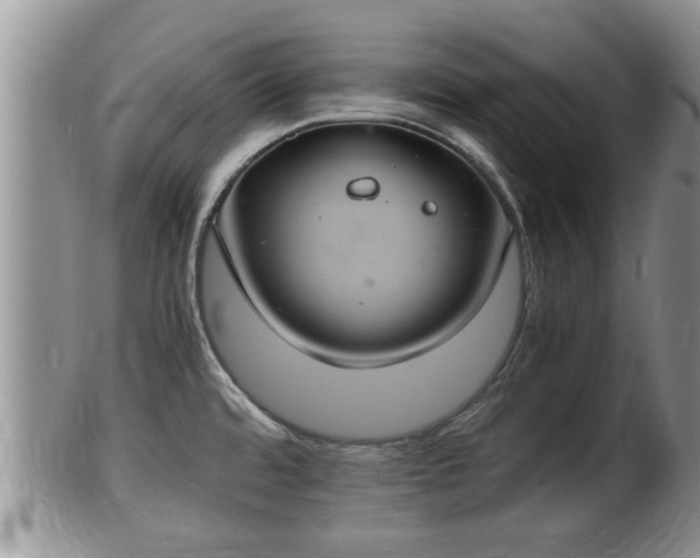 X0000102301480200808011528