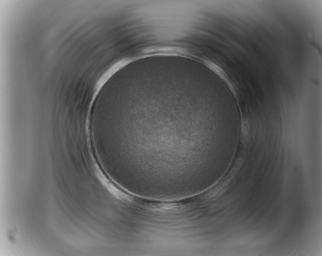 X0000102301482200808011528