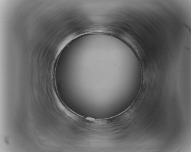 X0000102301483200808011528