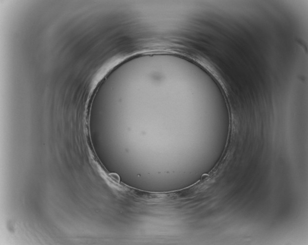 X0000102301485200808011528