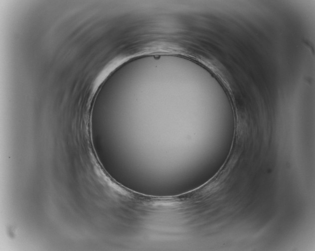 X0000102301486200808011528