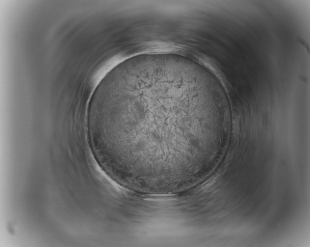 X0000102301487200808011528