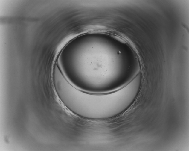 X0000102301488200808011528