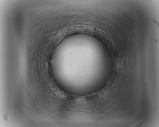 X0000102301489200808011527