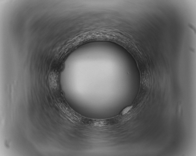 X0000102301490200808011527