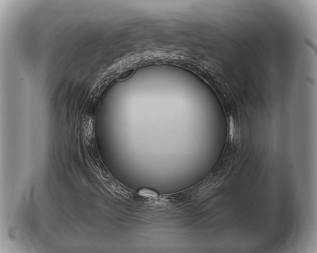 X0000102301492200808011527