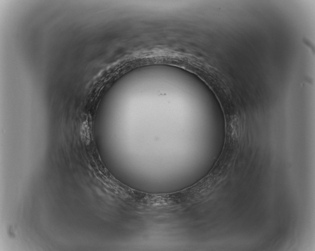 X0000102301493200808011527