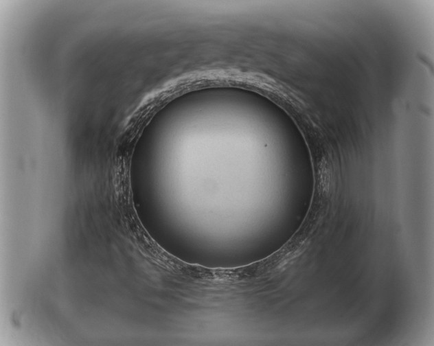 X0000102301494200808011527