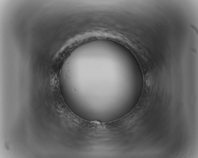 X0000102301495200808011527