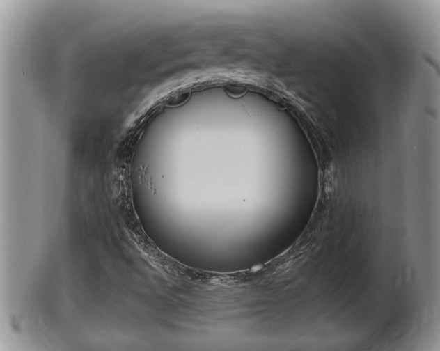 X0000102301496200808011527