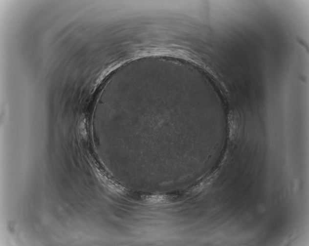 X0000102301497200808011527